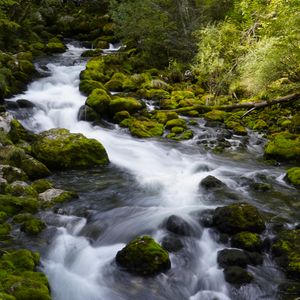 Превью обои река, камни, мох, деревья, природа