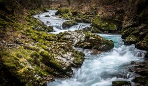 Превью обои река, камни, мох, природа