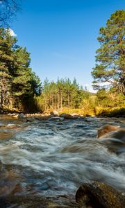 Превью обои река, камни, поток, деревья, ель