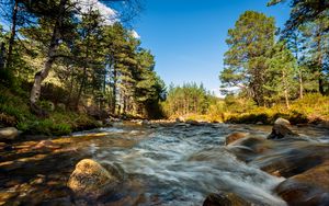 Превью обои река, камни, поток, деревья, ель