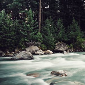 Превью обои река, камни, поток, деревья, ель, лес