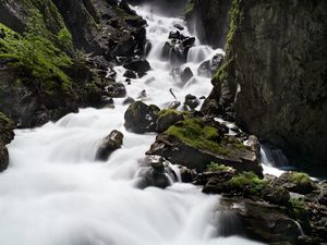 Превью обои река, камни, скалы, мох, вода