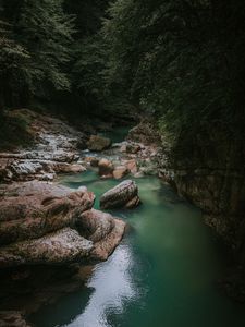 Превью обои река, камни, тени, деревья