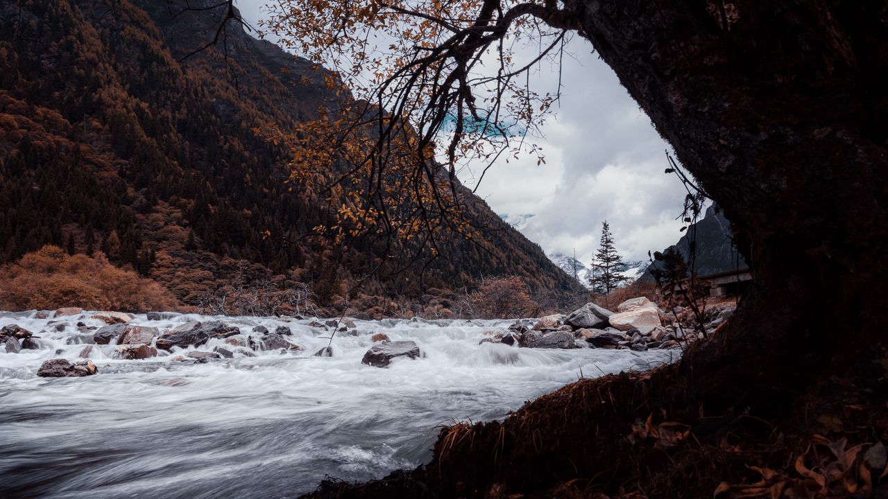 Обои река, камни, вода, поток, пейзаж