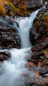 Превью обои река, камни, вода, трава, поток