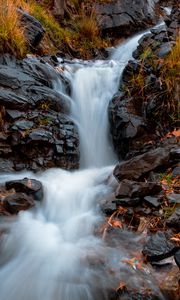 Превью обои река, камни, вода, трава, поток