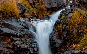 Превью обои река, камни, вода, трава, поток