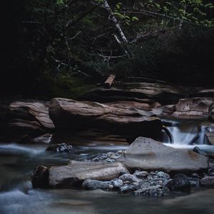 Превью обои река, камни, вода, кусты