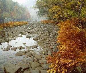 Превью обои река, камни, вода, осень