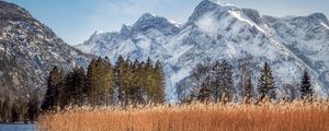 Превью обои река, камыши, трава, горы, пейзаж