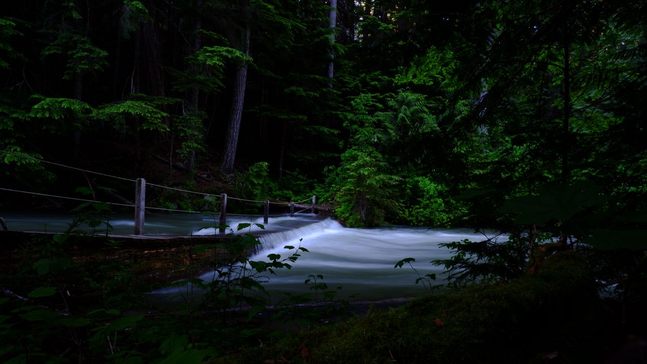 Обои река, каскад, деревья, темный