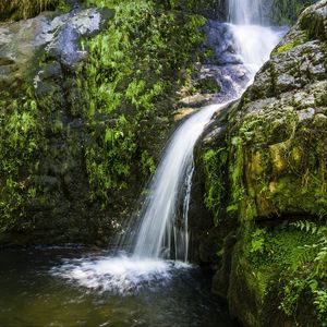 Превью обои река, каскад, трава, природа