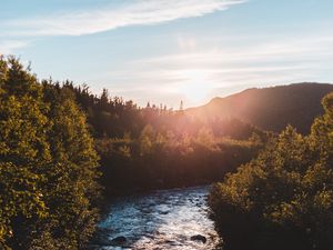 Превью обои река, кусты, солнце, лучи, небо