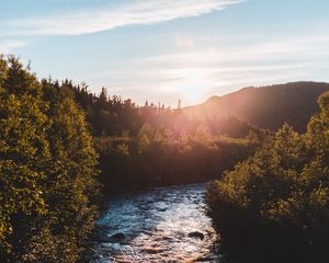 Превью обои река, кусты, солнце, лучи, небо