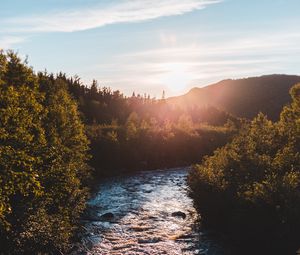 Превью обои река, кусты, солнце, лучи, небо