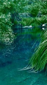 Превью обои река, кусты, трава, природа