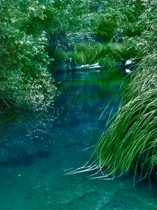 Превью обои река, кусты, трава, природа