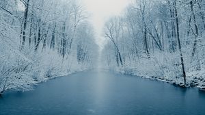 Превью обои река, лед, деревья, снег, зима, природа