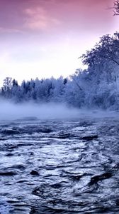 Превью обои река, лед, деревья, туман, течение, иней, вода, зима
