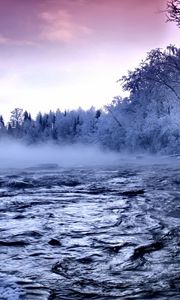 Превью обои река, лед, деревья, туман, течение, иней, вода, зима