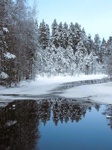 Превью обои река, лед, снег, деревья, зима, природа