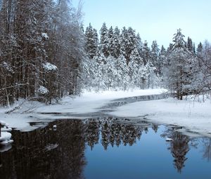 Превью обои река, лед, снег, деревья, зима, природа