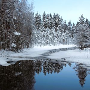 Превью обои река, лед, снег, деревья, зима, природа