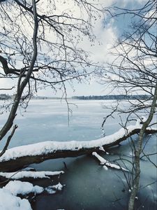 Превью обои река, лед, снег, ветки, зима, деревья