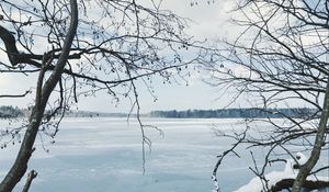 Превью обои река, лед, снег, ветки, зима, деревья
