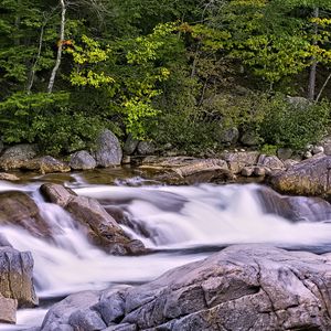 Превью обои река, лес, деревья, камни, длинная выдержка, пейзаж, природа