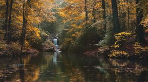 Превью обои река, лес, деревья, пейзаж, осень