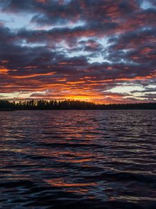 Превью обои река, лес, деревья, сумерки, природа