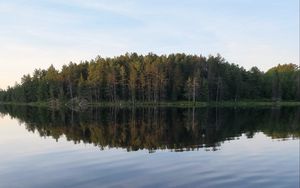 Превью обои река, лес, ель, отражение, камень