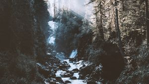 Превью обои река, лес, горы, свет, пейзаж, утро