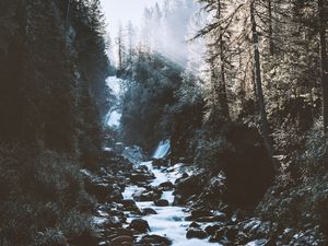 Превью обои река, лес, горы, свет, пейзаж, утро