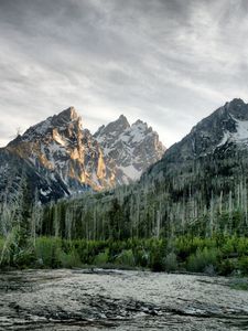 Превью обои река, лес, горы, деревья, мертвые, цвета