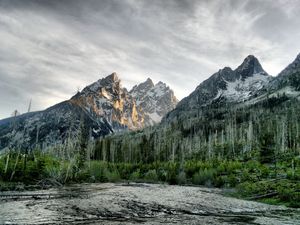 Превью обои река, лес, горы, деревья, мертвые, цвета