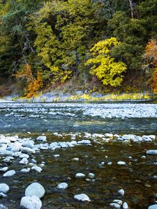 Превью обои река, лес, камни, берег, деревья, осень, вода, природа