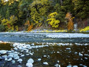 Превью обои река, лес, камни, берег, деревья, осень, вода, природа