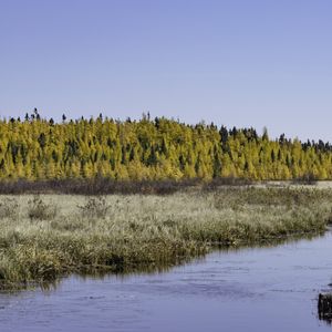 Превью обои река, лес, осень, природа