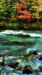 Превью обои река, лес, ручей, поток, цвета, камни, мох, прозрачная, вода