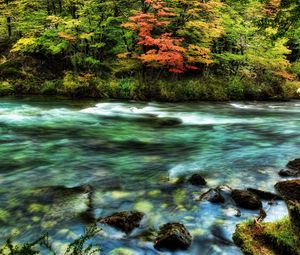 Превью обои река, лес, ручей, поток, цвета, камни, мох, прозрачная, вода