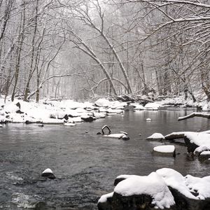 Превью обои река, лес, снег, камни, вода, зима