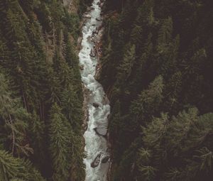 Превью обои река, лес, вид сверху, поток, горный
