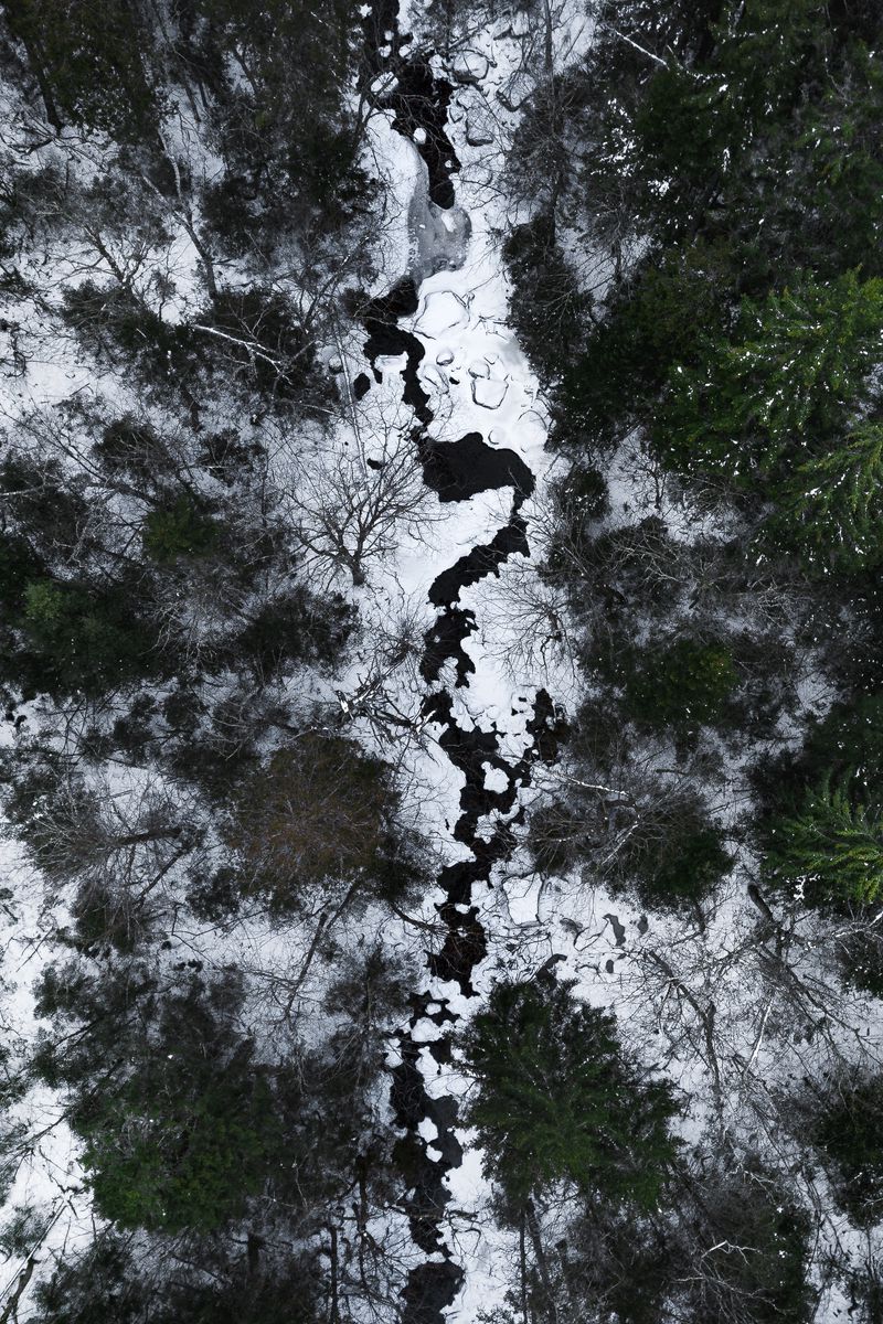 Above forest. Снежный лес вид сверху. Темный лес вид сверху. Вид на реку зима сверху. Лес под снегом сверху.