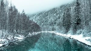 Превью обои река, лес, заснеженный, зима, пейзаж