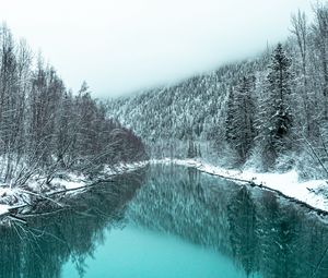 Превью обои река, лес, заснеженный, зима, пейзаж
