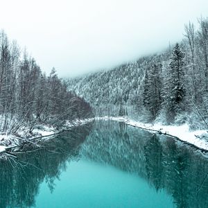 Превью обои река, лес, заснеженный, зима, пейзаж