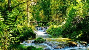 Превью обои река, лес, зеленый, заросли, поток, течение, каскады, ярко, контраст, тени, лето