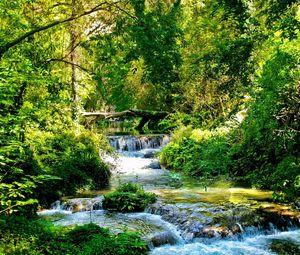 Превью обои река, лес, зеленый, заросли, поток, течение, каскады, ярко, контраст, тени, лето